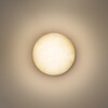 Миниатюра фото уличный еастенные светильники odeon light nature 7190/6wl | 220svet.ru
